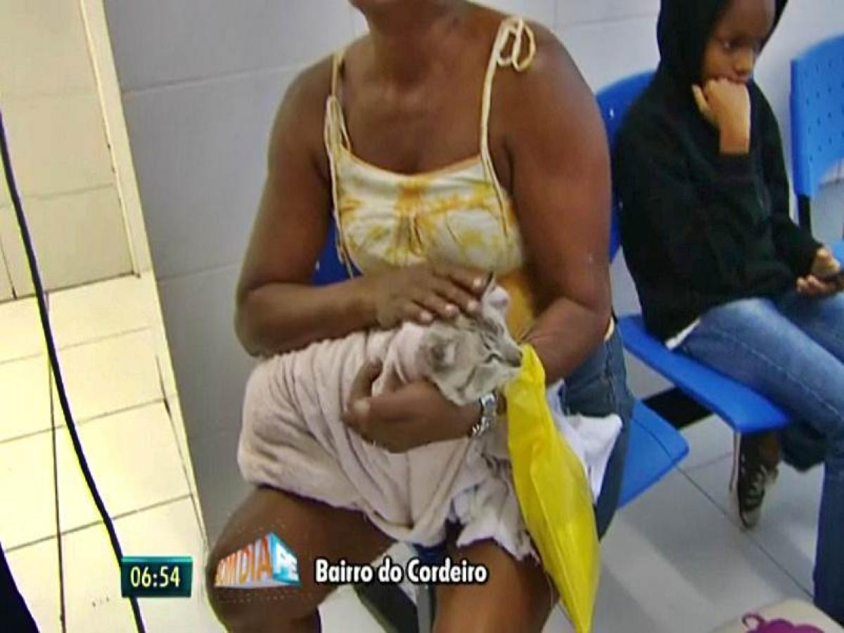 Mulher que foi mordida  na mama por gato  morre de raiva em hospital de Pernambuco
