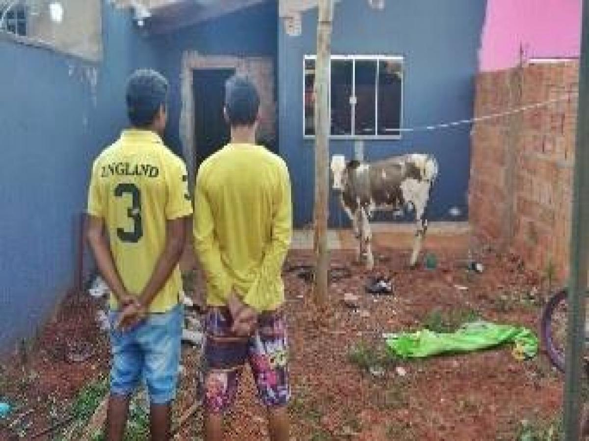 Jovens que  furtaram bezerra para  comemorar o  título do Corinthians São menores de idade