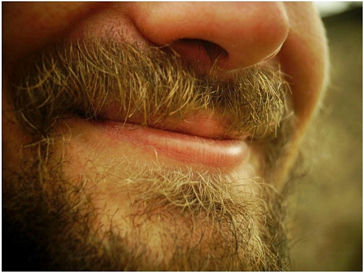 Homens com barba traem mais e são mais mentirosos