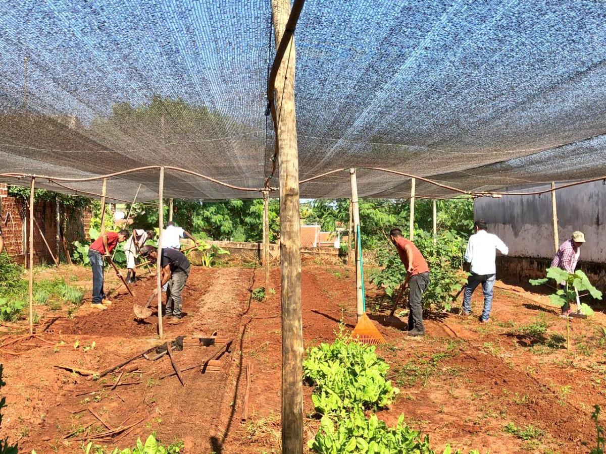 Administração de São Tomé promove Projeto Horta Terapêutica