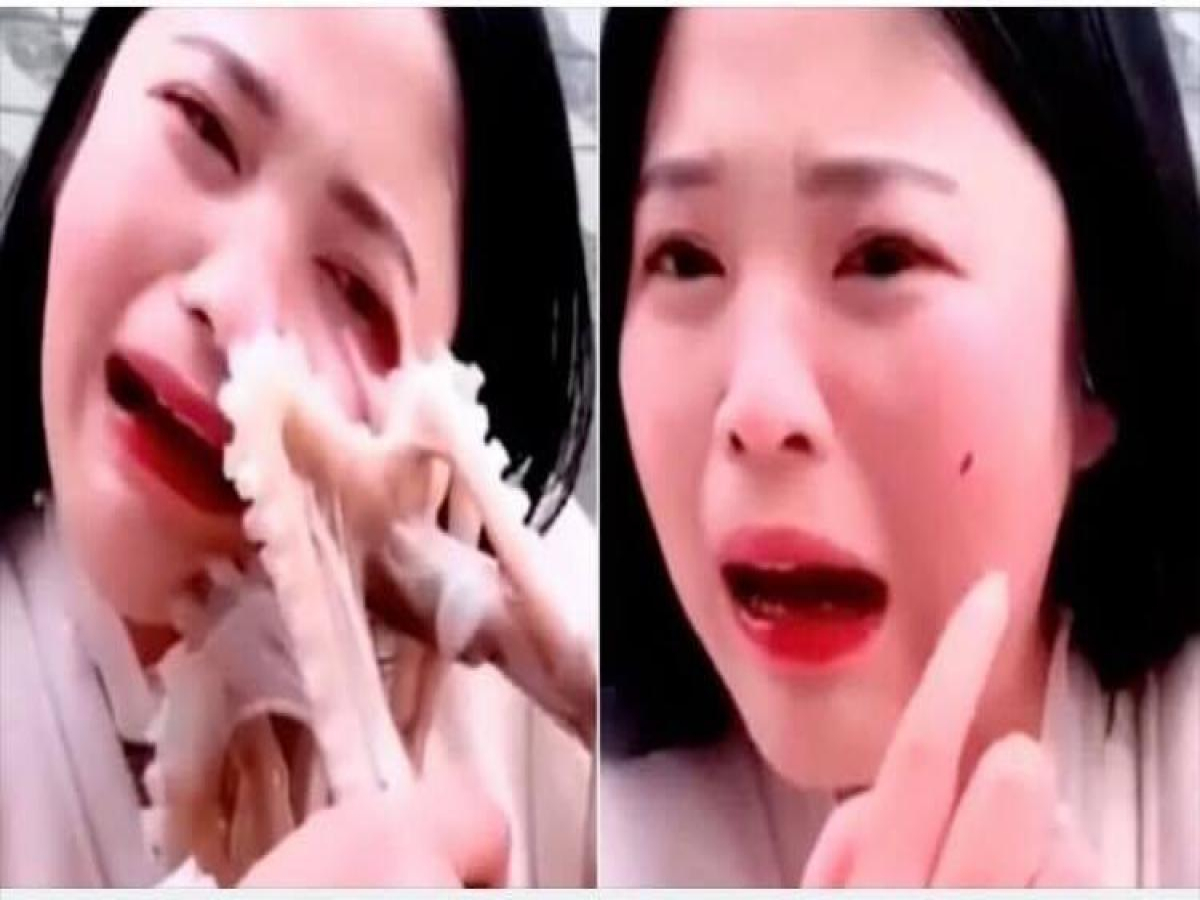 Vídeo: Mulher vai comer polvo vivo e leva uma baita mordida