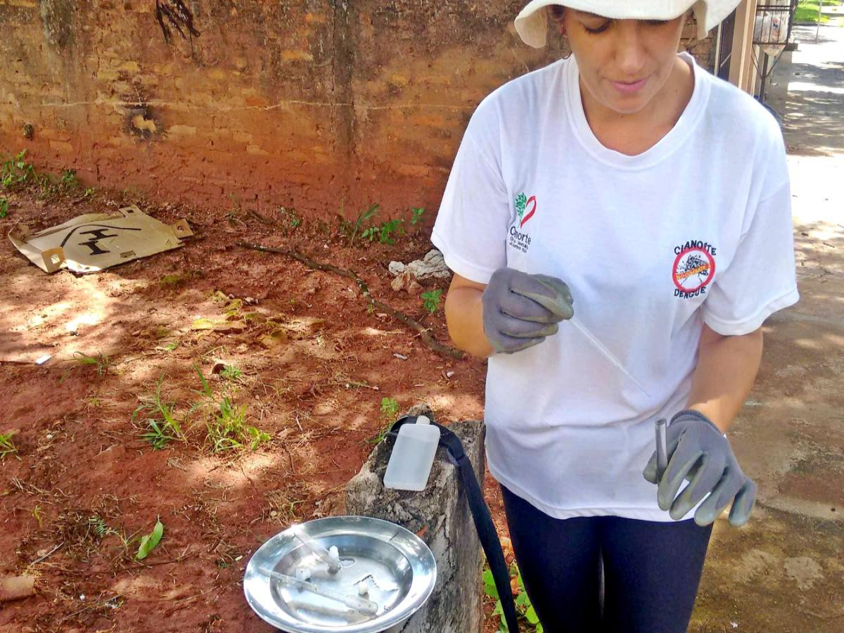 Prefeitura alerta: chuva e calor, a combinação perfeita para o mosquito transmissor da dengue