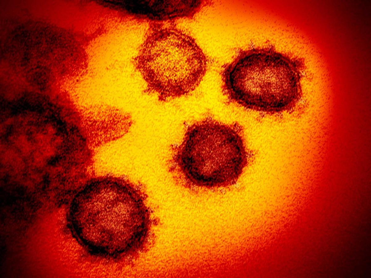 Ministério da Saúde confirma primeiro caso de coronavírus no Brasil