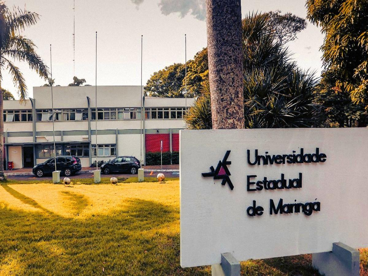 UEM divulga edital para contratação em Maringá Cianorte Porto Rico e Umuarama