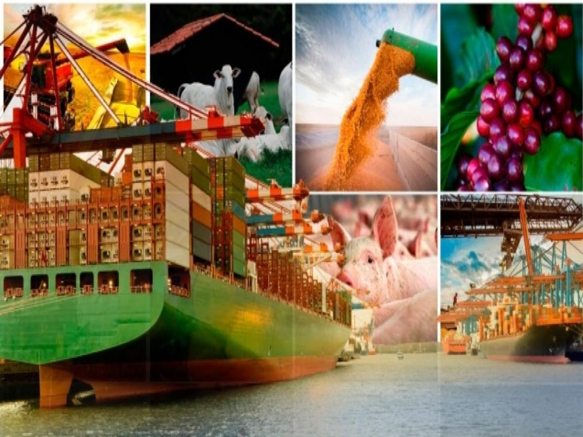 Exportações do Agro batem recorde e superam os US$ 10 bilhões em abril