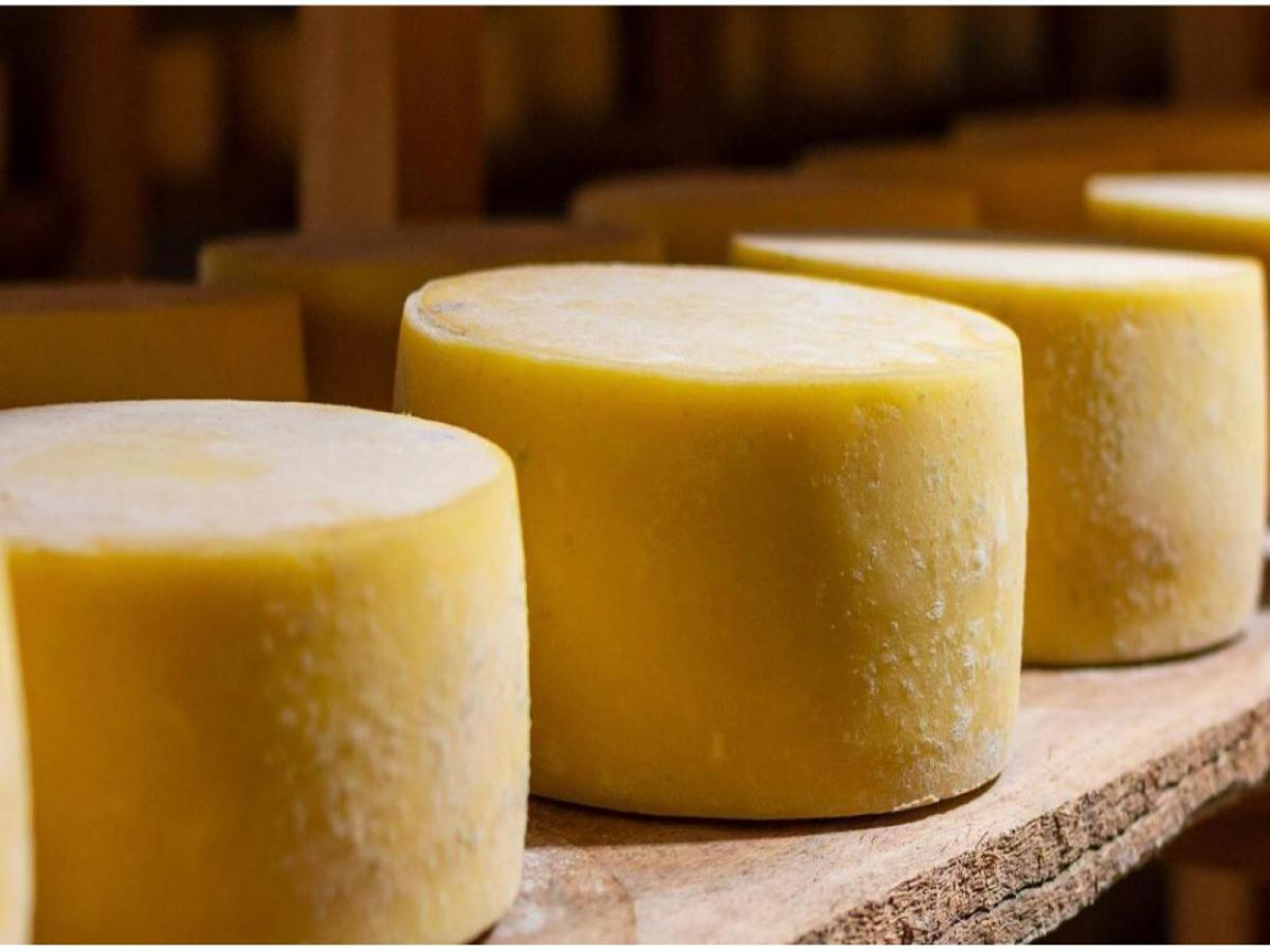 Agroindústria de Cianorte integra a recém-lançada rota do queijo do Paraná