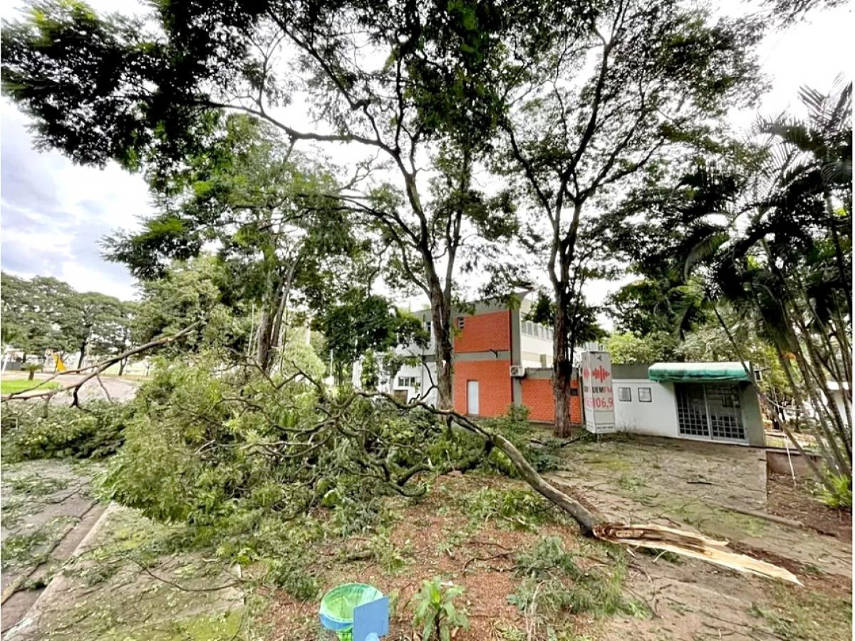 UEM suspende atividades letivas de segunda-feira (25) após estragos registrados por chuva