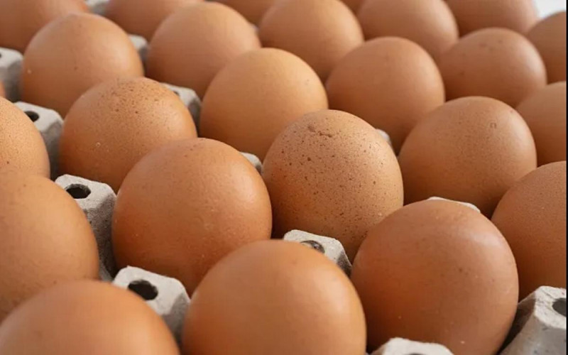 Como saber se o ovo está estragado? 4 truques podem te ajudar