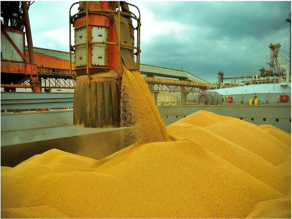 Brasil e EUA brigam pela liderança do mercado mundial de milho
