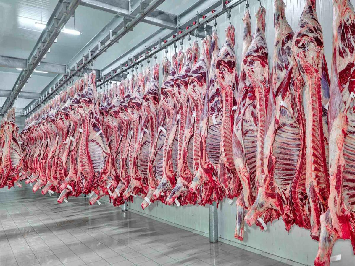 Exportações de carne bovina no semestre são as segundas maiores da história