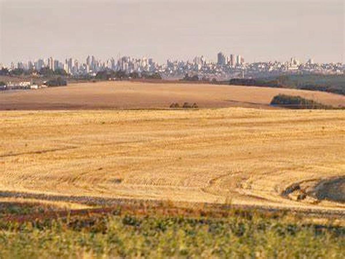 Paraná tem 34 municípios com produção agropecuária bilionária em 2022