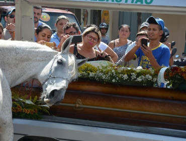 Cavalo comove família de vaqueiro morto ao 'se despedir' do dono